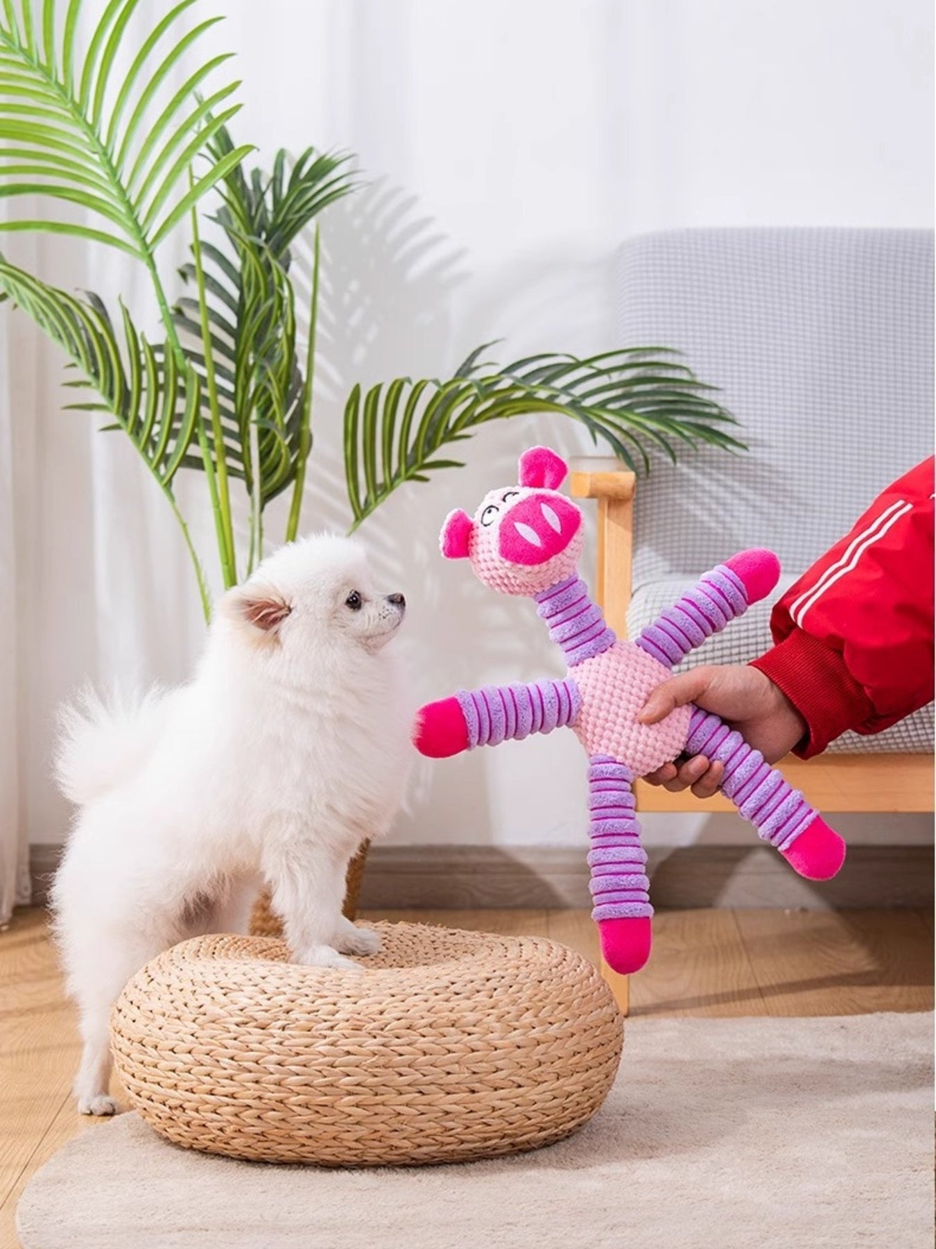 9c88e041dfe643399698368d845d5ae2-Max